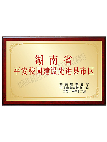 2016年湖南省平安校園建設先進縣市區